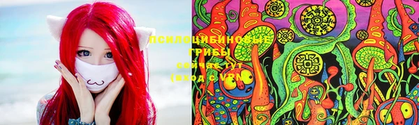 мескалин Балахна