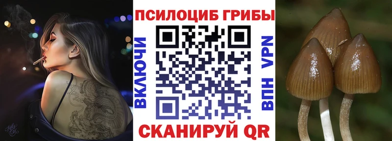 Псилоцибиновые грибы мицелий Буинск